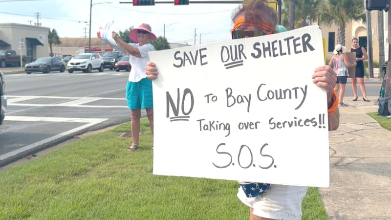 lynn haven animal shelter possible consolidation