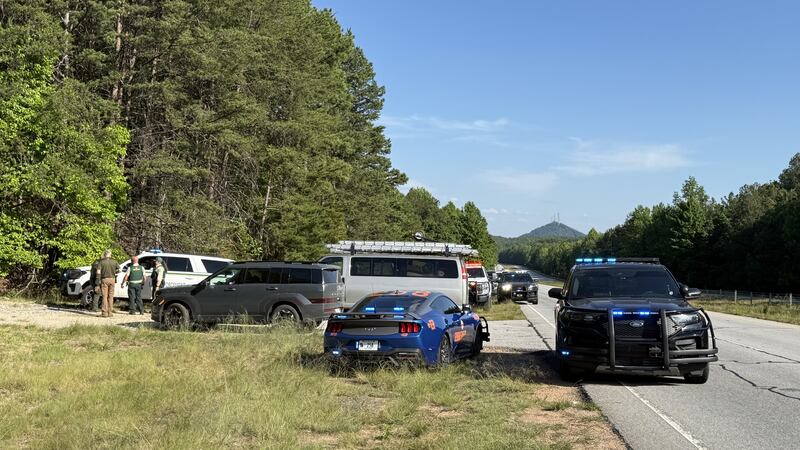 Arrestan a 25 inmigrantes durante operativo en zona boscosa de Georgia.