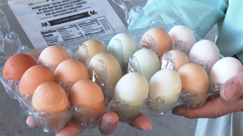 The FDA issued a recall for over one million eggs after salmonella contamination.