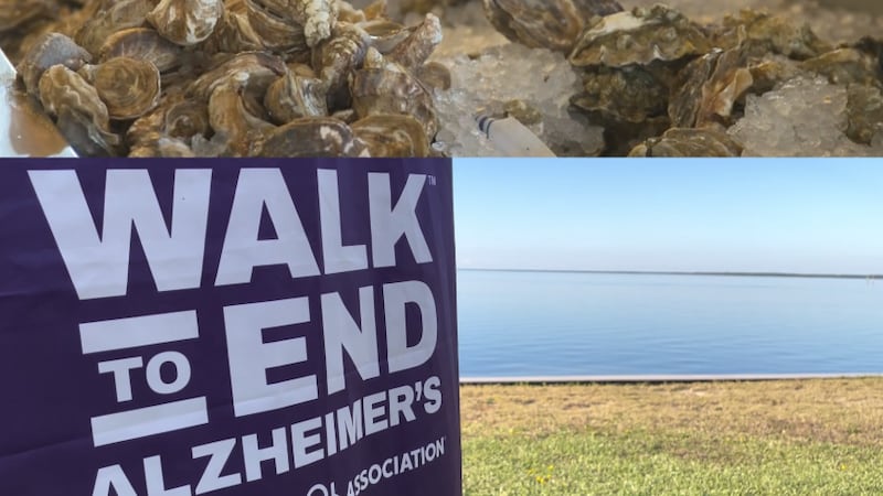 Bahía de Apalachicola reabre para recolección de ostras, mes del Alzheimer: noticias de la semana