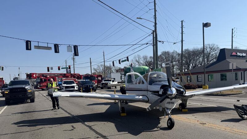 The single-engine plane made a landing on Browns Bridge Road and Pearl Nix Parkway.