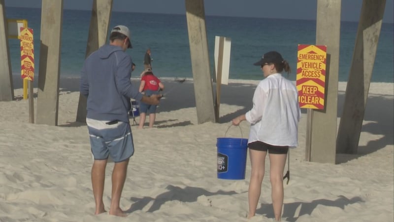 Limpieza de playas, arte estudiantil y rescate de escuela histórica