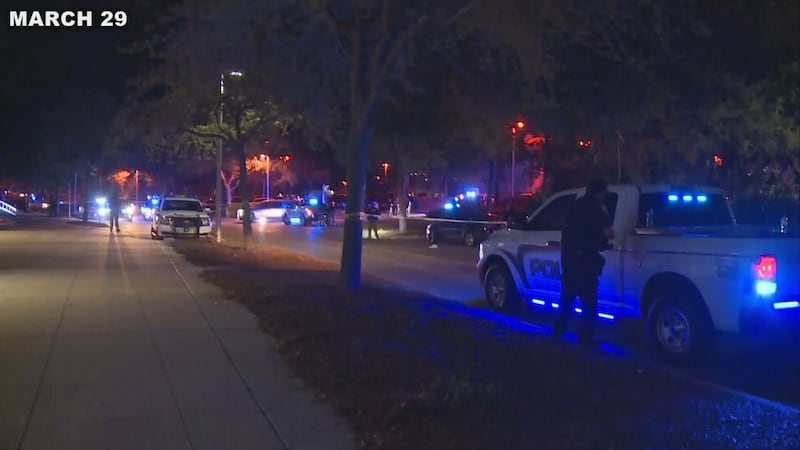 Spring break en PCB, delfines muertos y arrestos en el condado Bay