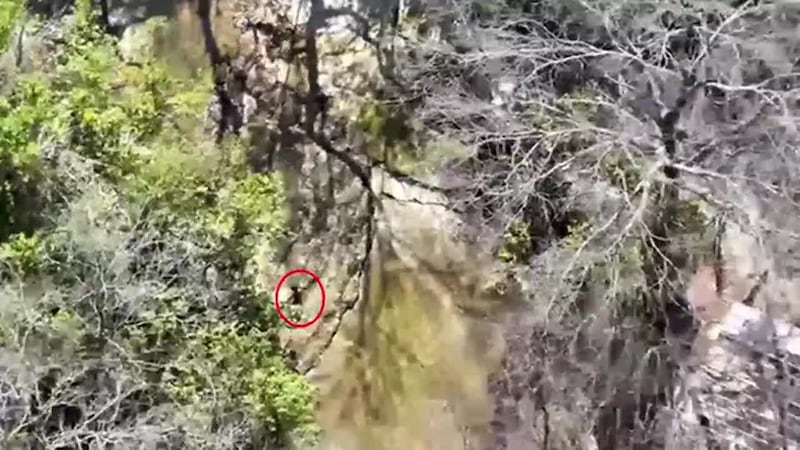 INSÓLITO: Pese a que vecinos se unieron en la búsqueda, fueron drones de la policía los que,...