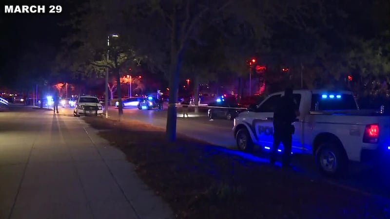 Spring break en PCB, delfines muertos y arrestos en el condado Bay