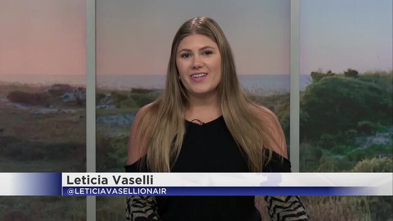 Incendio en Cape San Blas, textos para víctimas de crime, recortes en bibliotecas locales